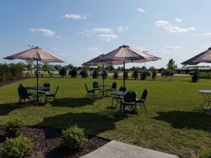 Smal-tents-garden-2017